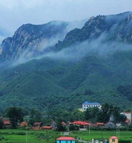 大山風水布局全集,風水林如何布局?