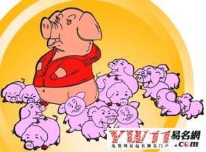 父母子女屬相相沖,父母和子女的生肖真的有相沖之說