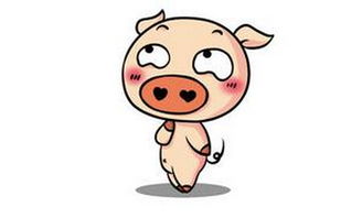 女豬男雞屬相婚配表,屬相婚配:男屬雞和女屬豬相配嗎