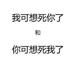 妙不可言是什麼意思,妙不可言的妙和言是什麼意思