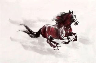 屬馬與哪個屬相不和,屬馬人和什麼屬相不合