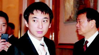 王思聰為什麼命好,如何看待王思聰和王寶強兩種不同的人生