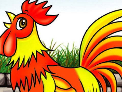 屬雞和各屬相是什麼命,生肖雞是什麼命運