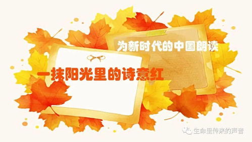 一抹陽光是什麼寓意,一抹陽光的「抹」是什麼意思?