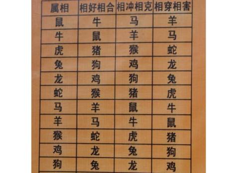 屬龍猴的屬相婚配表,屬龍和什麼生肖最配?屬猴的人和什麼生肖最般配?搜狗問問