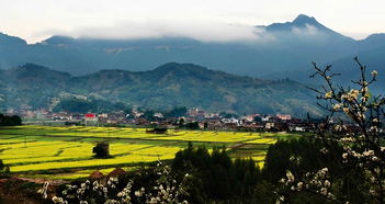 福建長泰縣山重村風水布局,有關漳州長泰縣山重村