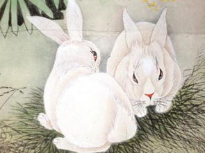 六三出生的什麼命,1963年是什麼命1963年出生的屬兔人2015年運程