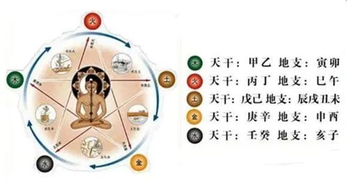 在五行里什麼也不缺命好不好,五行什麼都不缺好不好