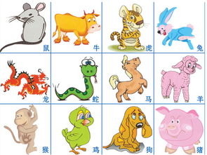 十二屬相馬運勢,十二生肖二零一四年屬馬九月份運程