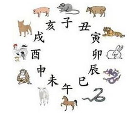 商品房屬相怎麼看風水,十二生肖買房風水須知有哪些