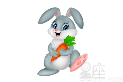屬相龍和兔合不合,龍跟兔屬相合嗎?