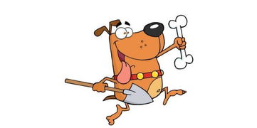 2022本命相衝的是什麼,為什麼會有本命年會不順的說法?