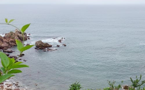 什麼樣的女命會生貴子,什麼樣的運勢可稱得上是貴子