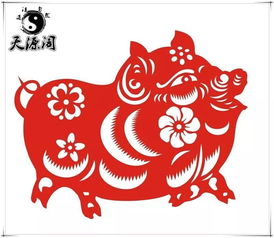 豬跟什麼屬相配才運好,屬豬的和什麼屬相最配?