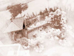 住宅栽樹風水布局,農村住宅風水栽樹都有哪些風水講究