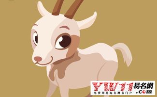 屬相相剋結婚的例子,結婚屬相相剋