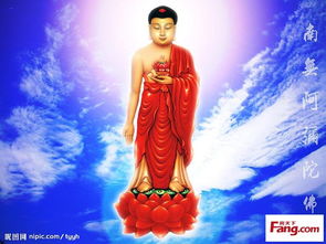 屬馬的本命護身佛壁紙,屬馬人的本命佛是什麼?