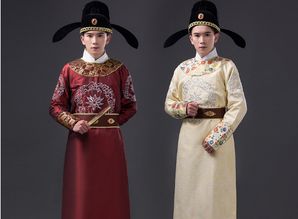 官服是什麼意思,在網路遊戲里官服和私服是啥意思!