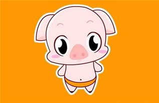 屬豬女找什麼屬相最好,女屬豬和什麼屬相最配