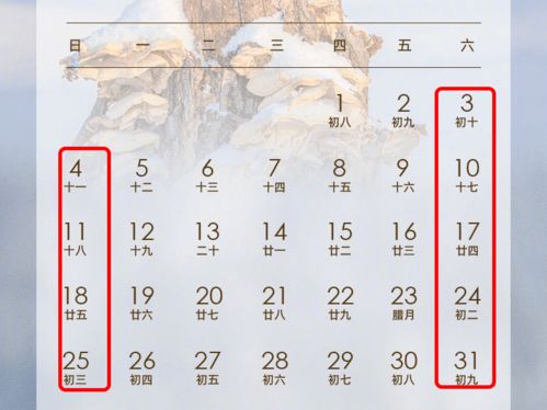 2022多少天全多少天,2022年7月有多少個工作日