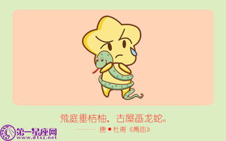 七九屬蛇女的是什麼命,79年生肖五行屬什麼命