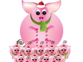 女屬相豬和什麼配最佳,女屬豬和什麼屬相最配