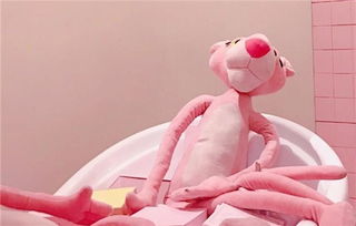 本命的人夢見自己親舅舅,周公解夢夢見親舅結婚