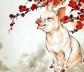 屬相這東西到底准不準,星座屬相這東西能不能信