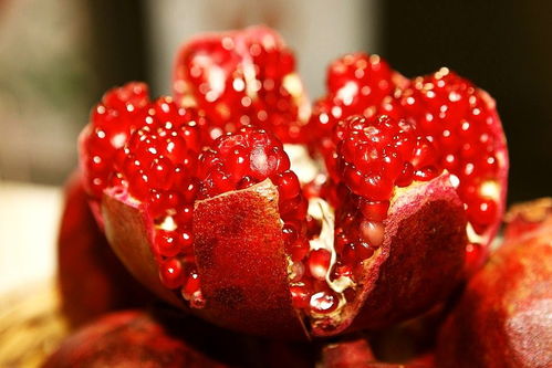 抽籤石榴命是什麼意思,大海命和石榴命是什麼意思