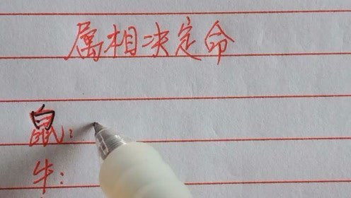 一個人屬什麼命怎麼理解,一個人屬於什麼命怎麼看?