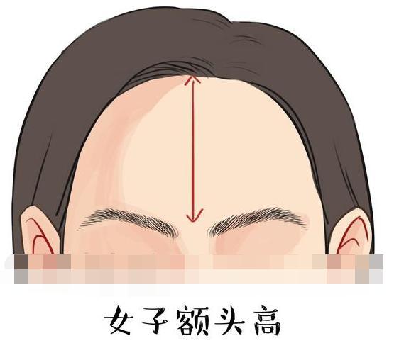 什麼樣的額頭是發財命,最能發財的人面相有何特徵