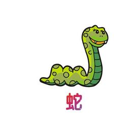 屬蛇男的婚配屬相最好,屬蛇男配什麼屬相好