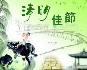 本命清明節可以遠行嗎,本命年可以去掃墓嗎