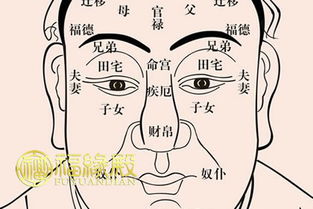 男命命宮有癸巳代表什麼,求大師詳批八字:癸巳乙丑丙申丙申男命