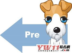 狗本命可以佩戴金狗嗎,本命年戴什麼生肖(會有好運)