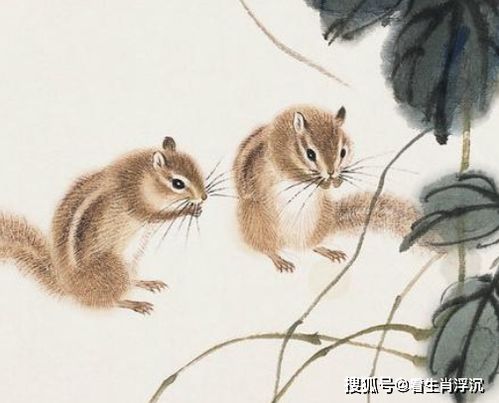 出家人本命虎要注意什麼,本命年虎年要注意什麼?