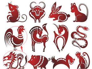 男屬養的屬相婚配表,男屬虎的和什麼屬相最配