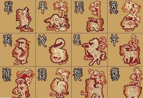 87的命屬什麼生肖,1987出生屬於什麼生肖