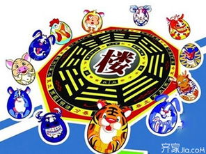 三十六字花五行屬相,惹人喜愛36種字花是什麼動物