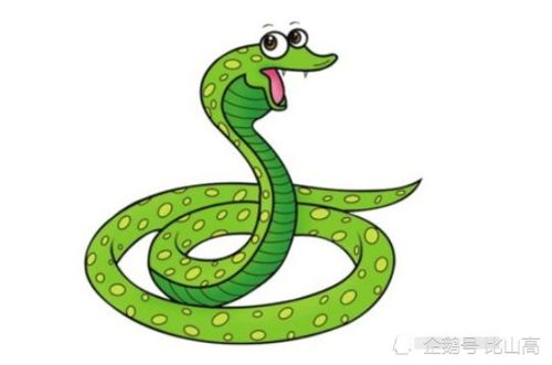 1965屬蛇什麼命五行屬,1965年是什麼命