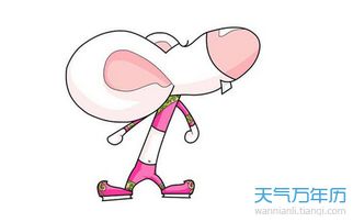 豬本命的鼠好不好,屬豬人的本命年如何