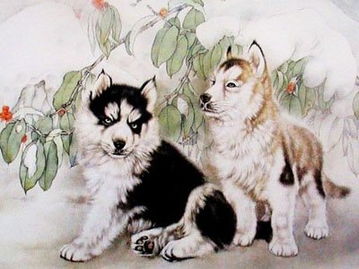 狗和什麼屬相做生意好,說狗的和什麼屬相一塊做生意好