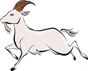 羊陀夾命還逢空什麼意思,紫微斗數星曜解釋