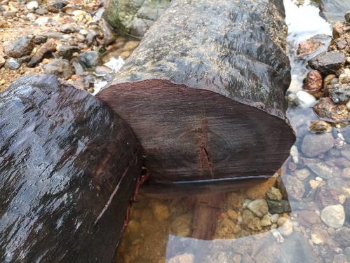 本命佛可以扔到河裡嗎,我的本命佛掛件不小心碎了能丟到河裡嗎?