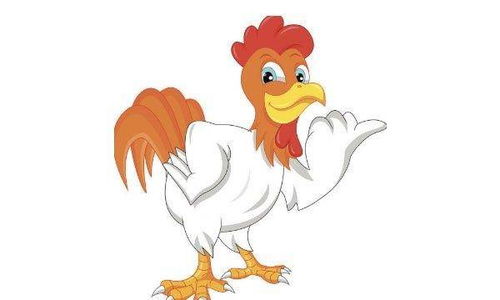 屬雞的和什麼屬相不配,屬雞的和什麼屬相最配