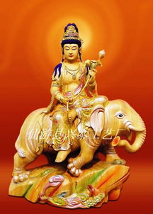 鼠龍的本命佛是什麼,屬鼠的本命佛是什麼?