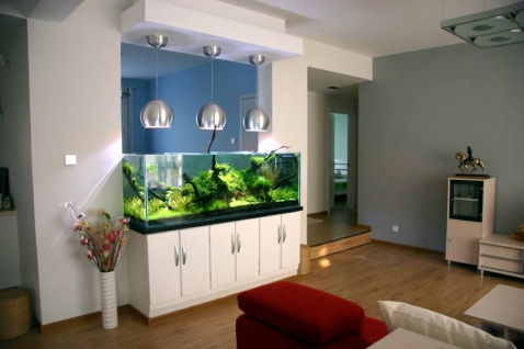 室內魚缸風水禁忌,客廳魚缸的擺放風水有哪些注意事項