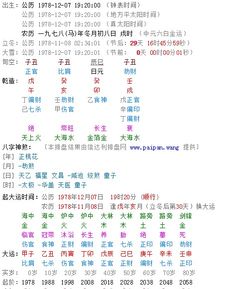生辰八字中的命格式什麼意思,八字中命指的是什麼請指示