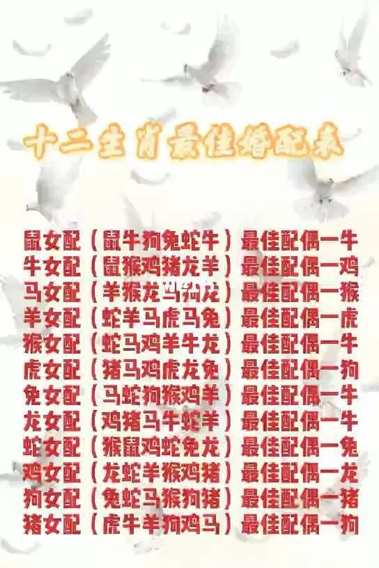 人的婚姻屬相匹配,生肖婚姻的匹配