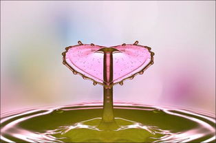 什麼樣的命會學佛,什麼是學佛